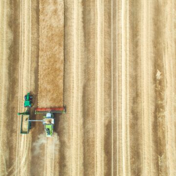 Agronegócio brasileiro alimenta mais de 10% do mundo, segundo Embrapa