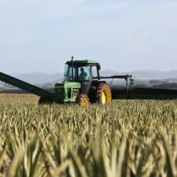 Lei que cria fundo de investimento do agronegócio é sancionada