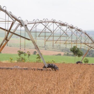 Caixa disponibilizará R$ 15 bilhões em crédito para o agronegócio