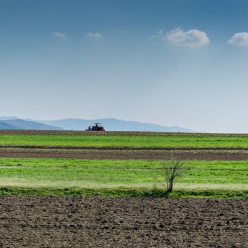 Contratação de crédito rural chega a R$ 97,75 bilhões em três meses do Plano Safra