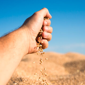 Conab e Sebrae firmam parceria para o fortalecimento dos pequenos agronegócios