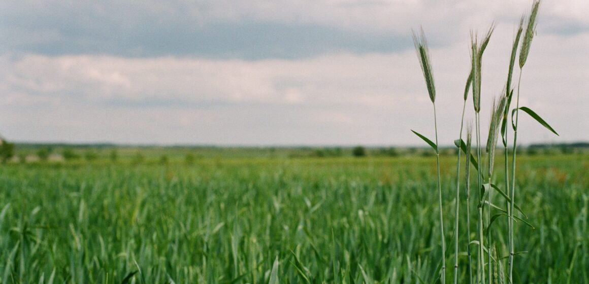 Fórum Futuro do Agro é nesta quinta-feira, dia 20