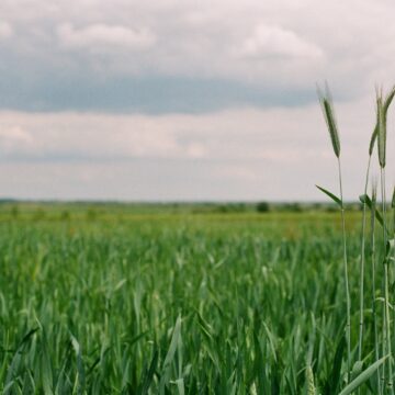 Fórum Futuro do Agro é nesta quinta-feira, dia 20