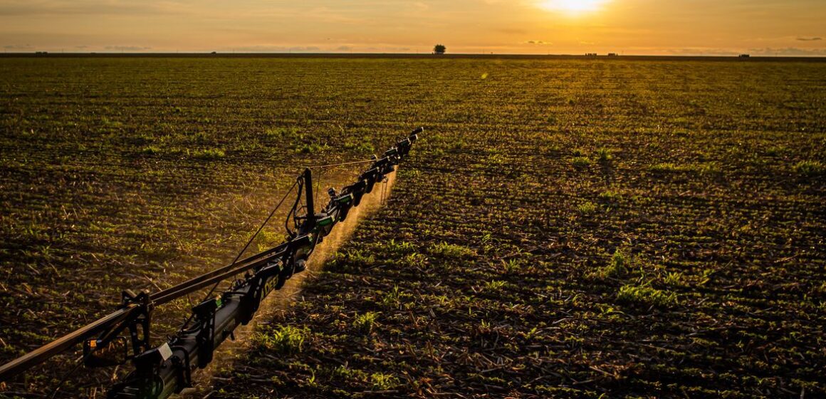 IBGE: 32% dos solos do país têm potencial natural para a agricultura