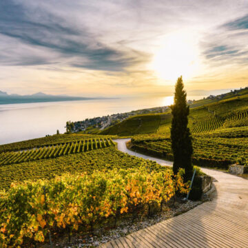 Roteiro de encantos: castelos, queijos e vinhos na Suíça Francesa