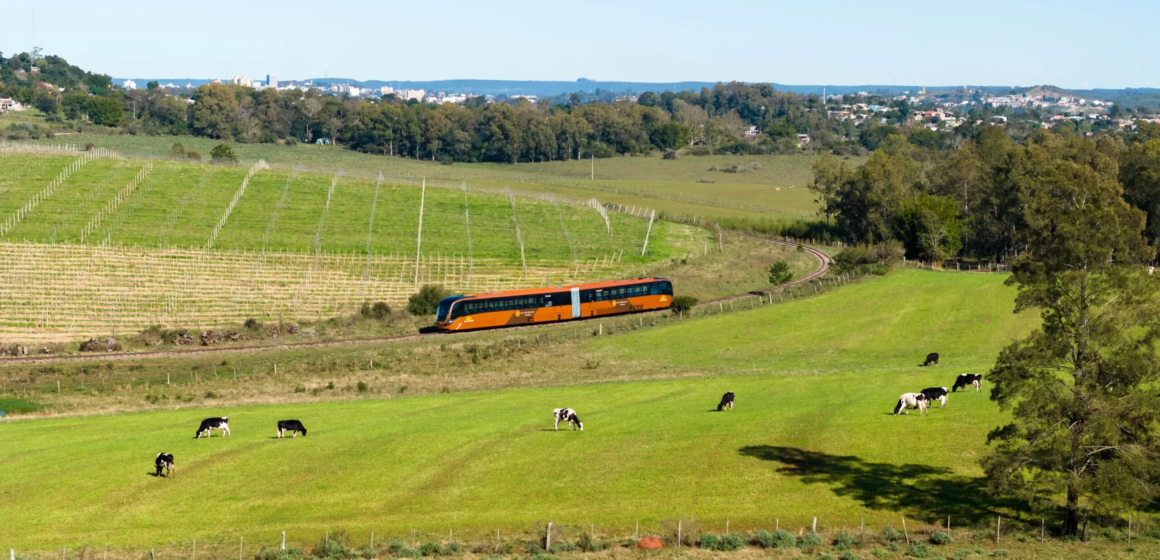 Viaje pelo Cerro Palomas e deguste vinhos no Trem do Pampa