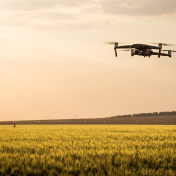 Agronegócio brasileiro se destaca globalmente com tecnologia e sustentabilidade