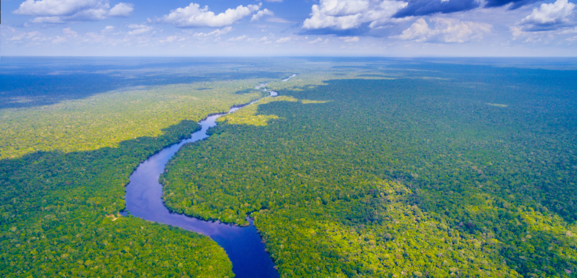 Novo Museu das Amazônias será legado da COP30 em 2025