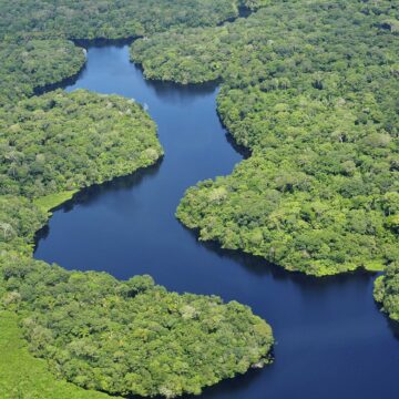 Reflorestamento da Amazônia ganha impulso com títulos verdes do Bird