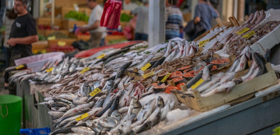 Campanha nacional promove aumento do consumo de pescado em setembro