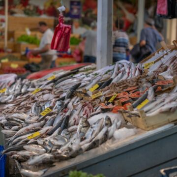 Campanha nacional promove aumento do consumo de pescado em setembro