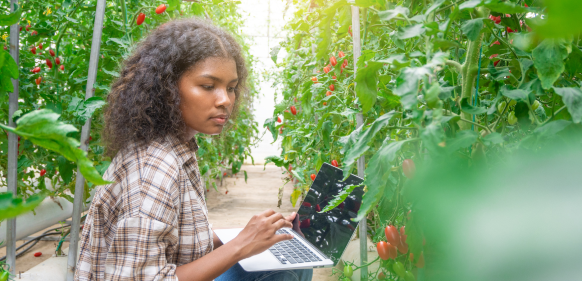 Governo paulista prepara iniciativa para atrair jovens ao agronegócio