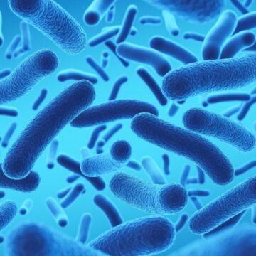 Saiba como prevenir a gastroenterite no Carnaval