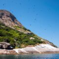 Veja como aproveitar e conhecer São Sebastião