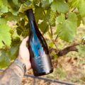 Quatro Altitudes, da Casa Vitor, é o melhor Syrah do Brasil