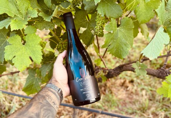 Quatro Altitudes, da Casa Vitor, é o melhor Syrah do Brasil